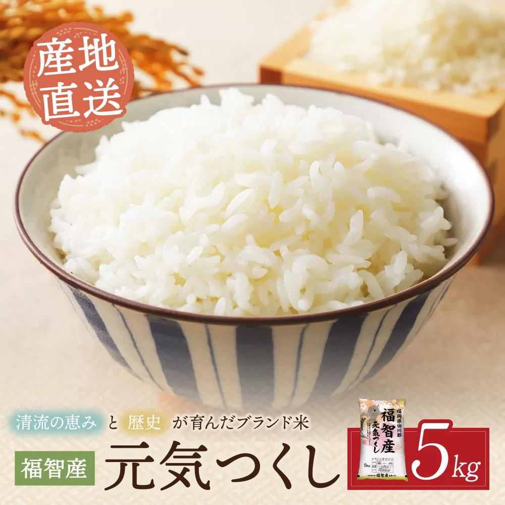 福智町産ブランド米(元気つくし 5kg) お米 米 こめ コメ ブランド米 白米 人気 おすすめ 元気つくし げんきつくし 福岡県産米 食料品 日常 福岡県