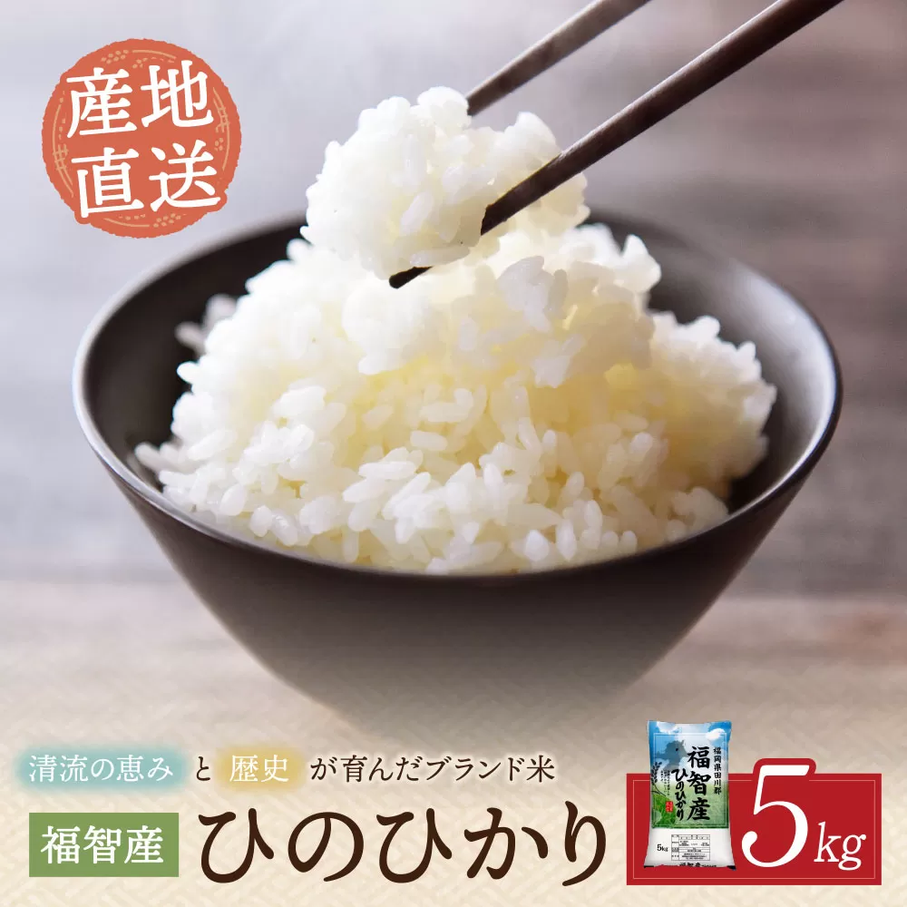 福智町産ブランド米(ヒノヒカリ 5kg)  お米 米 こめ コメ ブランド米 白米 人気 おすすめ ヒノヒカリ ひのひかり 福岡県産米 食料品 日常 福岡県 