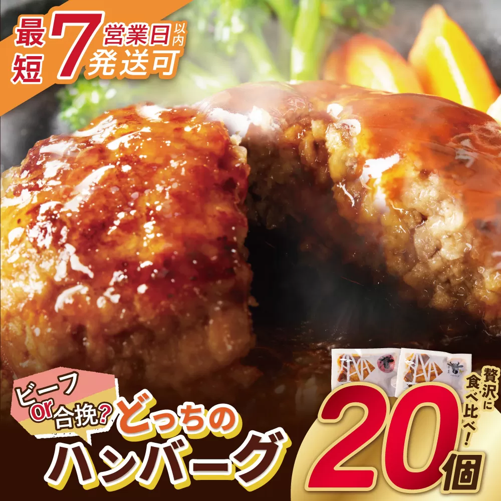【7営業日以内発送】【累計460万個突破！】どっちの ハンバーグ !?デミグラスソース150g×20個セット（ビーフ・合挽 各10個） ハンバーグ 牛肉 豚肉 洋食 ハンバーグ はんばーぐ 大容量 冷凍 人気 ハンバーグ デミソース 手軽 冷凍 3kg おかず 肉 おすすめ ハンバーグ お得 ハンバーグステーキ 味付ハンバーグ