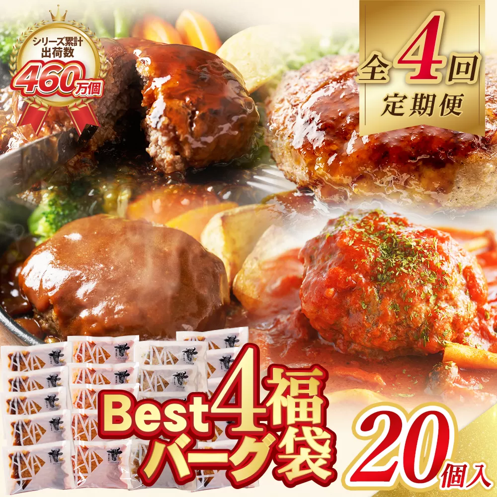 【4回定期便】Best4バーグ ハンバーグ 20個【合挽4種・各5個】