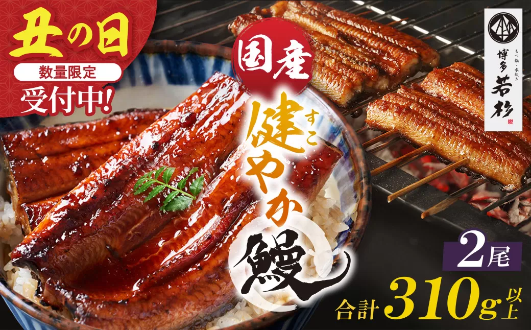 【2026年 丑の日 先行予約】健やか鰻 国産うなぎ蒲焼（無頭）2尾（計310g以上）