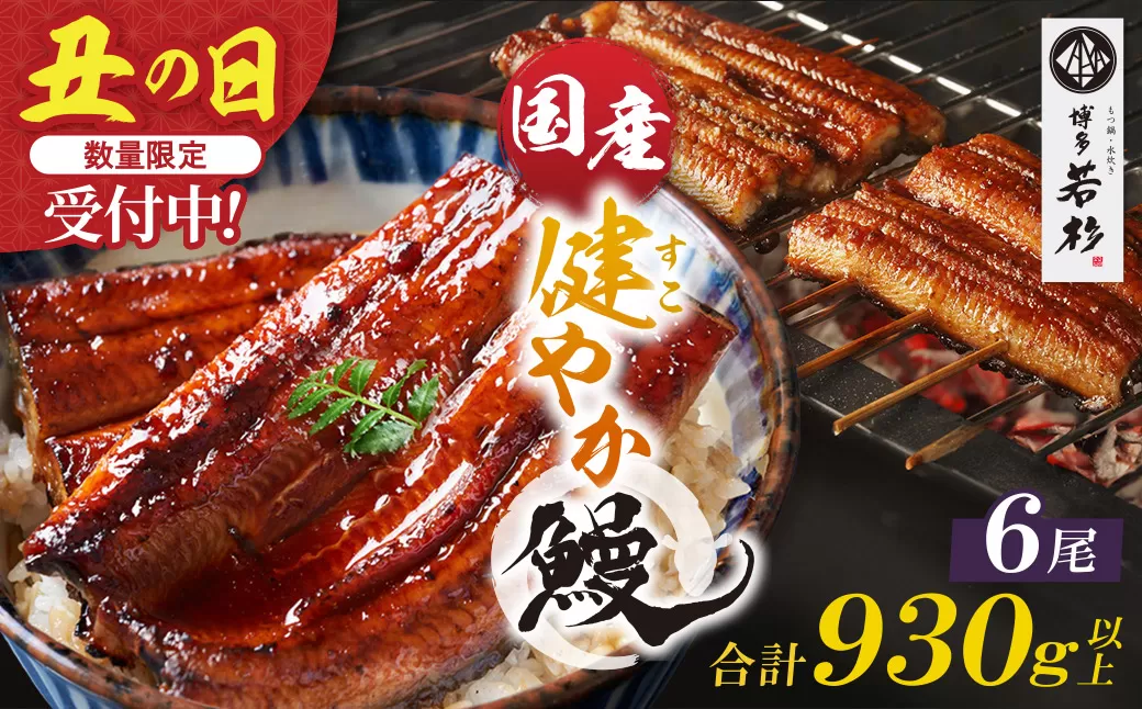 健やか鰻 国産うなぎ蒲焼（無頭）6尾（計930g以上）