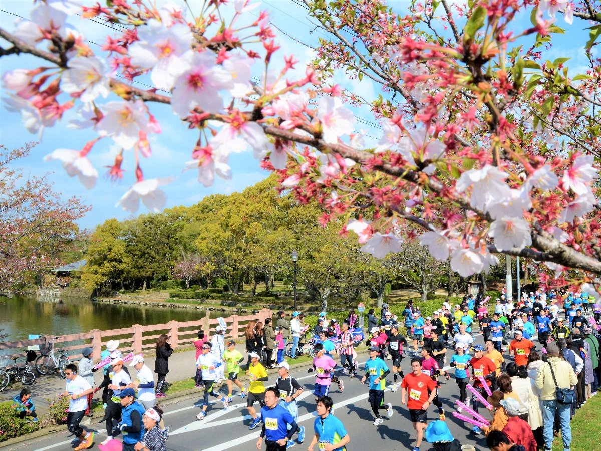 さが桜マラソン