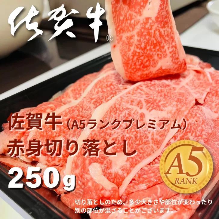 佐賀牛（プレミアム）赤身切り落とし 250g：B100-069