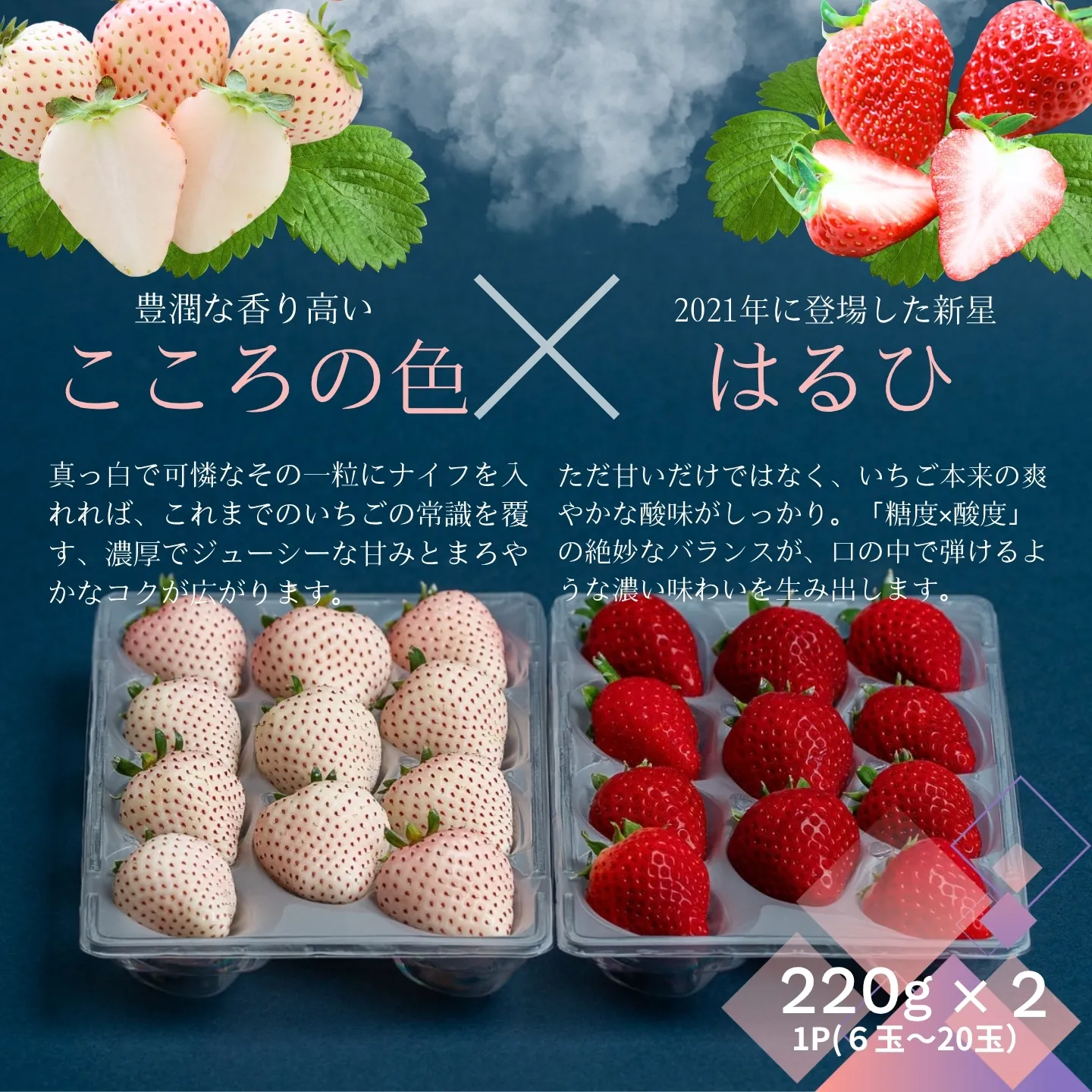 【先行受付!2027年1月から発送開始】佐賀県産いちご こころの色&はるひ 紅白セット:B140-133