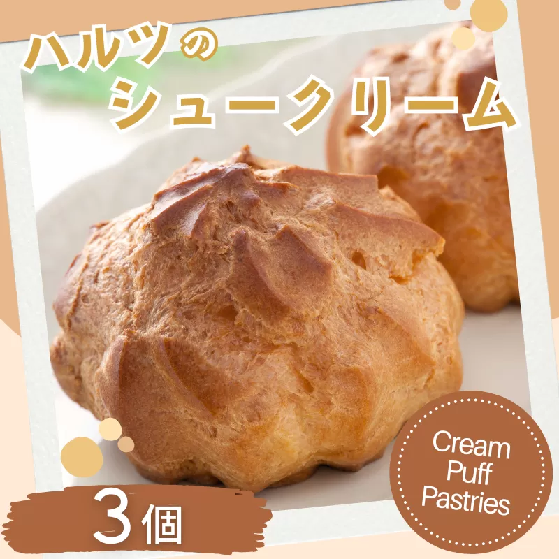 ハルツのシュークリーム 3個 創業40年 スイーツ 洋菓子 お菓子 おやつ デザート 小分け 個包装 ご褒美 お取り寄せ 人気 冷凍配送 送料無料 佐賀県 佐賀市：A070-003