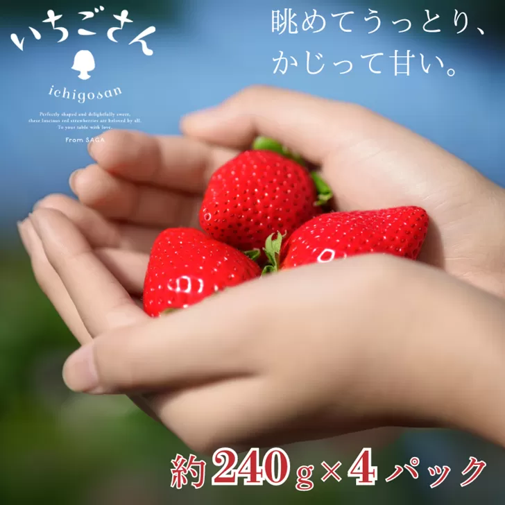 佐賀県産 いちごさん 240g×4パック:B145-012