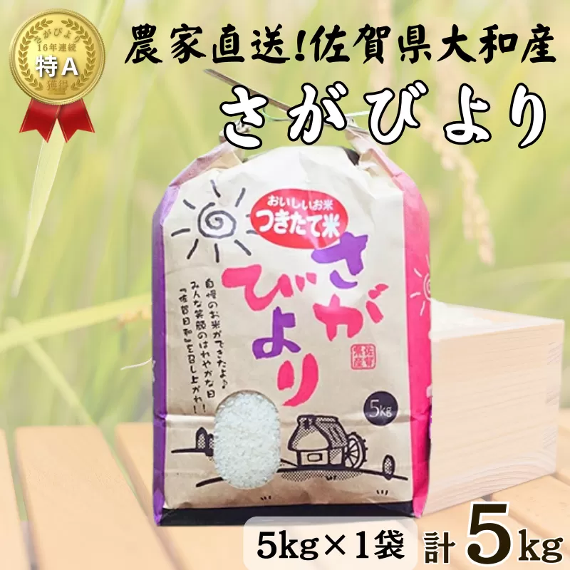 佐賀県大和産「さがびより」5kg 米 農家直送：B170-033