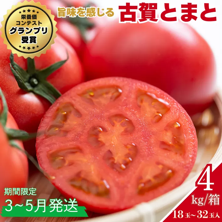 【期間限定】栄養価コンテストでグランプリを受賞した「古賀とまと」 3月～5月発送 トマト 野菜 産地直送 佐賀県 佐賀市：B290-008