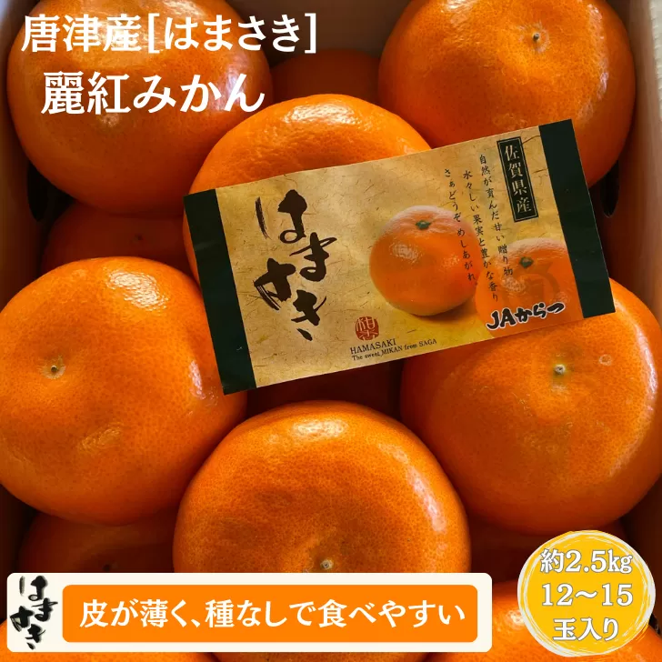 【先行予約】佐賀みかん 唐津産【はまさき】麗紅みかん：B210-021