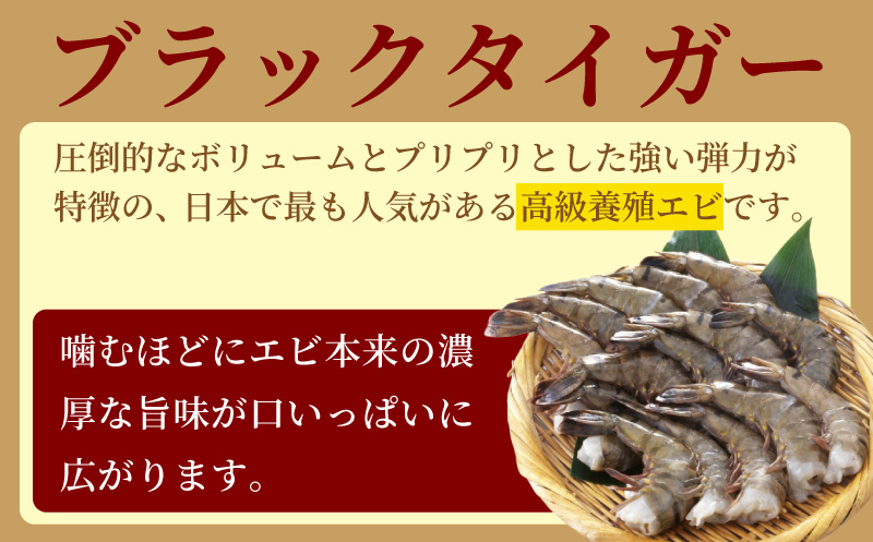 老舗鮮魚店のぷりぷりえびフライ（48本）：B455-007｜佐賀市｜佐賀県