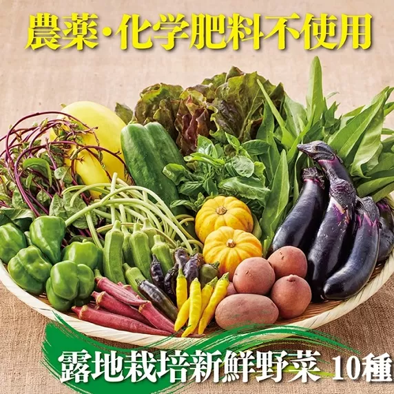 佐賀産季節の旬野菜10種類（農薬・化学肥料不使用）：B120-036