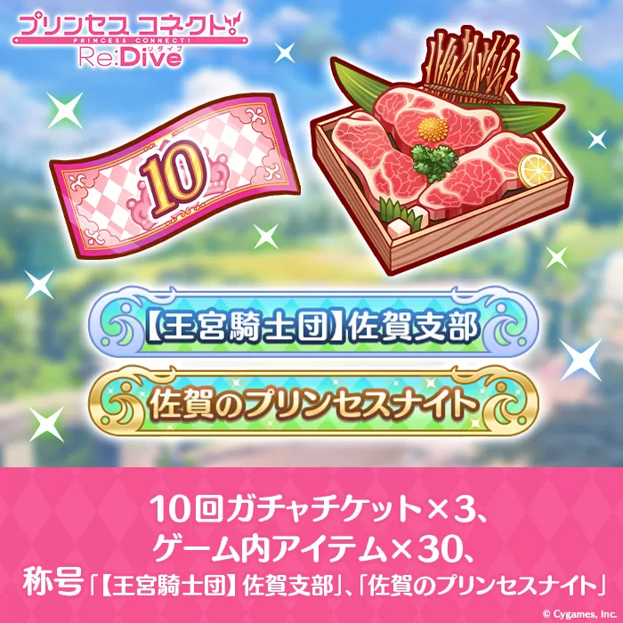 【ふるさと納税限定】Cygames プリコネR ゲーム内アイテムセット【cyg2】：B360-005
