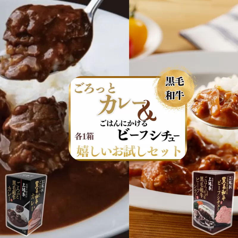 ごろっとカレー・ビーフシチューセット 佐賀牛 カレー ビーフシチュー レトルト 湯煎 レンジ調理 簡単 ：A080-012