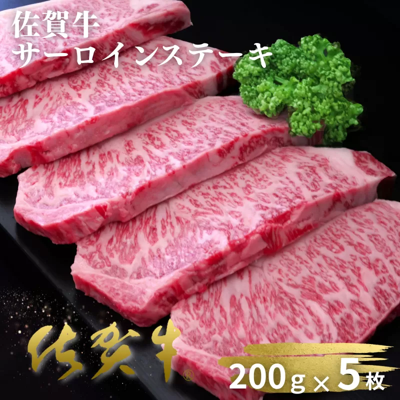 佐賀牛サーロインステーキ 200g×5枚：B520-005