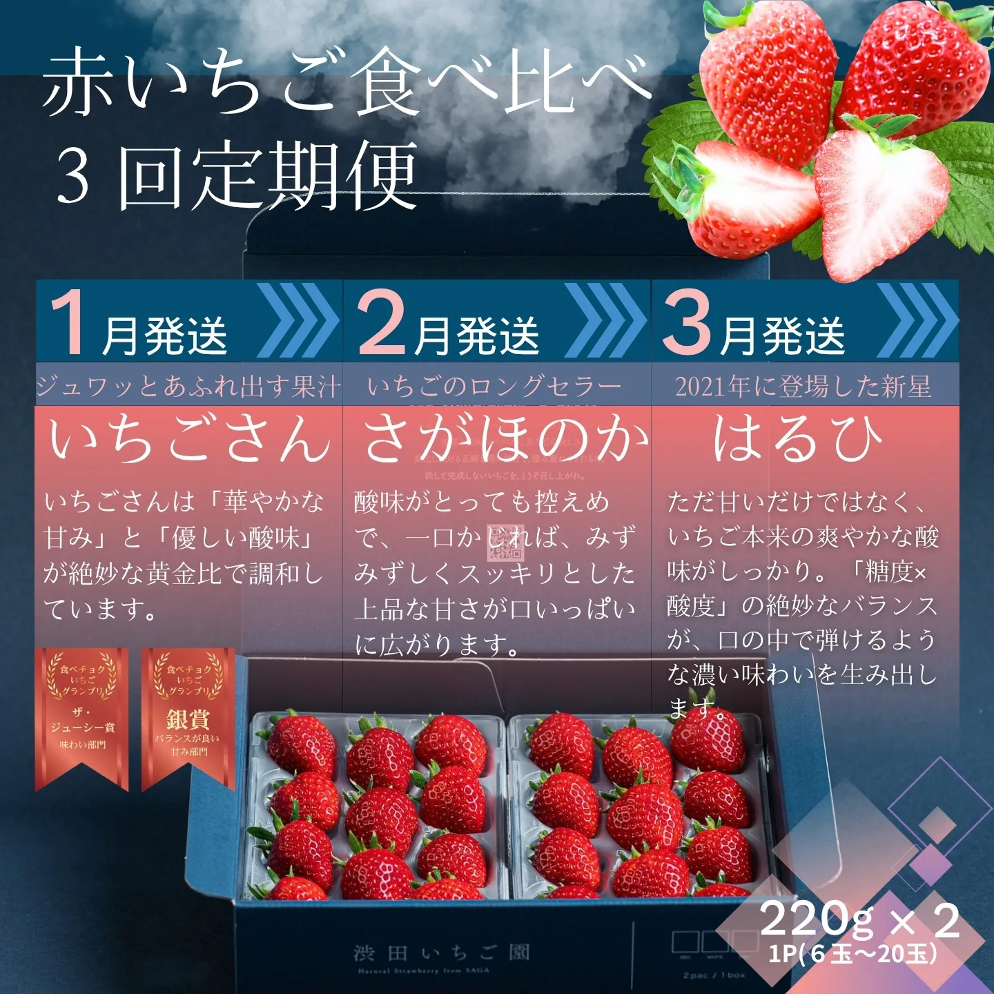 【先行受付!2027年1月から発送開始】赤いちご食べ比べ定期便 全3回(1月〜3月):B280-010
