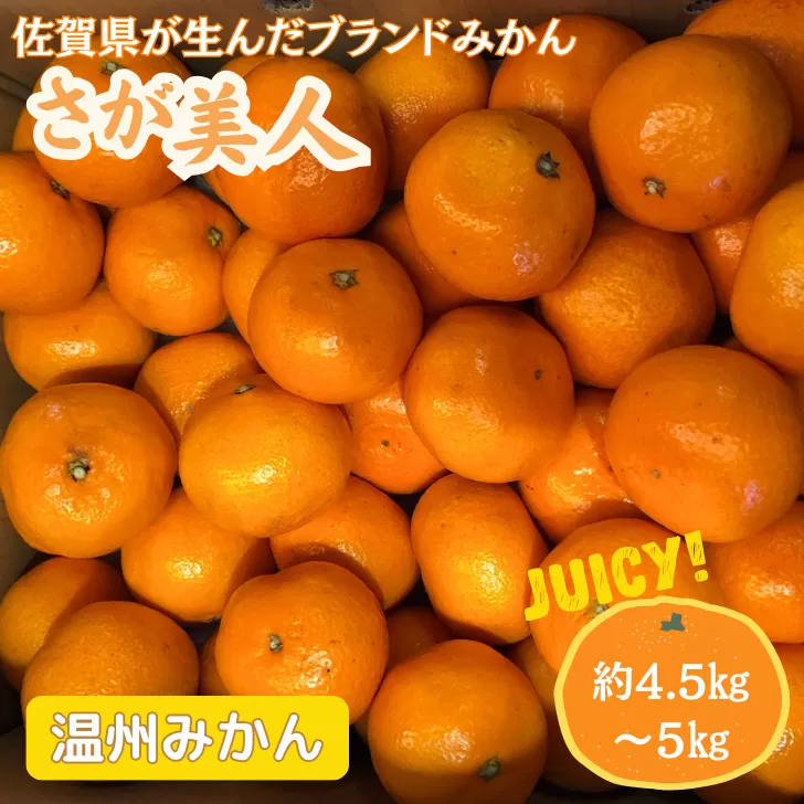 【先行予約】佐賀みかん さが美人：B175-009