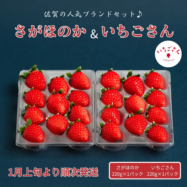 佐賀県産いちご さがほのか&いちごさんセット：B100-039