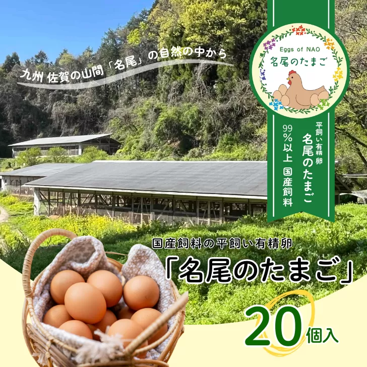 国産飼料の平飼い有精卵「名尾のたまご」20個入：B100-045