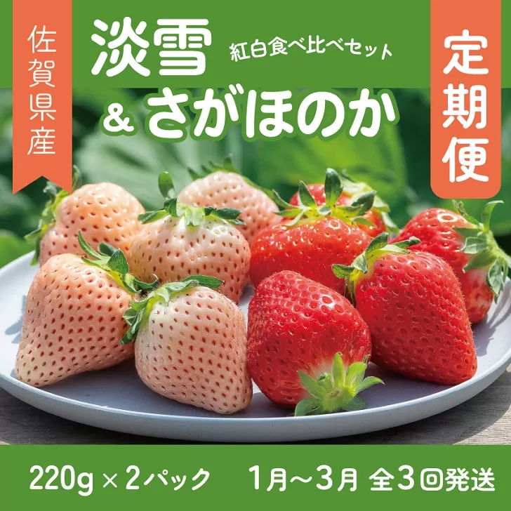 2027年1月から発送開始![定期便3回]佐賀県産 紅白いちご 食べ比べ 淡雪 さがほのか フルーツ 果物 旬 苺 白いちご 贈答 佐賀市 清瀬農園:B395-010