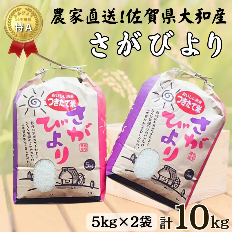 佐賀県大和産「さがびより」5kg×2袋 米 農家直送:B320-017