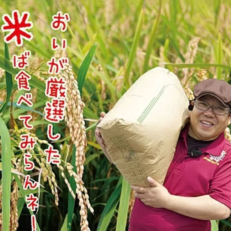 令和7年産 佐賀市三瀬村産「コシヒカリ」20kg（5kg×4袋）：B630-003