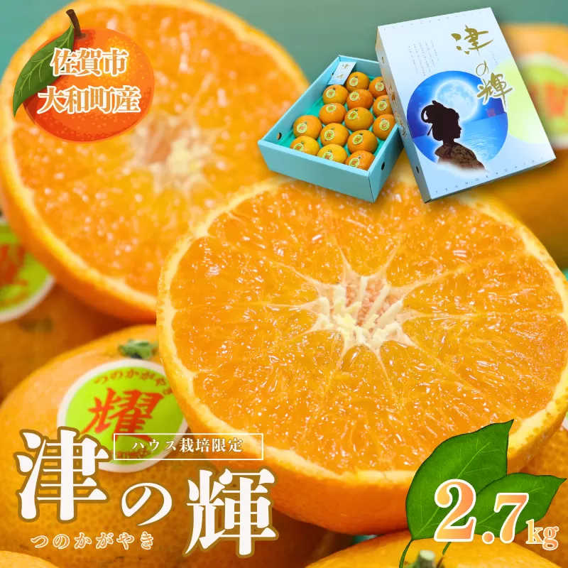 【12月～2月上旬発送】佐賀市大和町産みかん「津の輝」 温州みかん 佐賀みかん 贈答 ギフト：B150-076