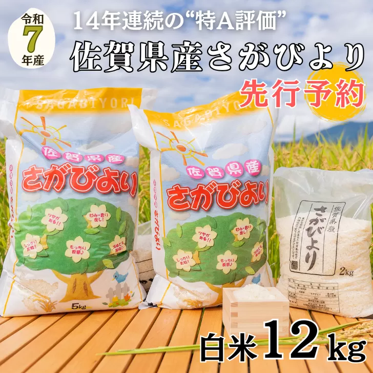 【先行予約】令和7年 佐賀県産 さがびより白米12kg：B380-001
