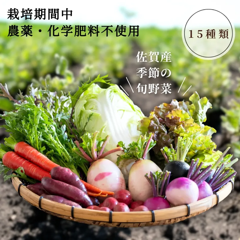 佐賀産季節の旬野菜15種類（栽培期間中農薬・化学肥料不使用）：B150-008