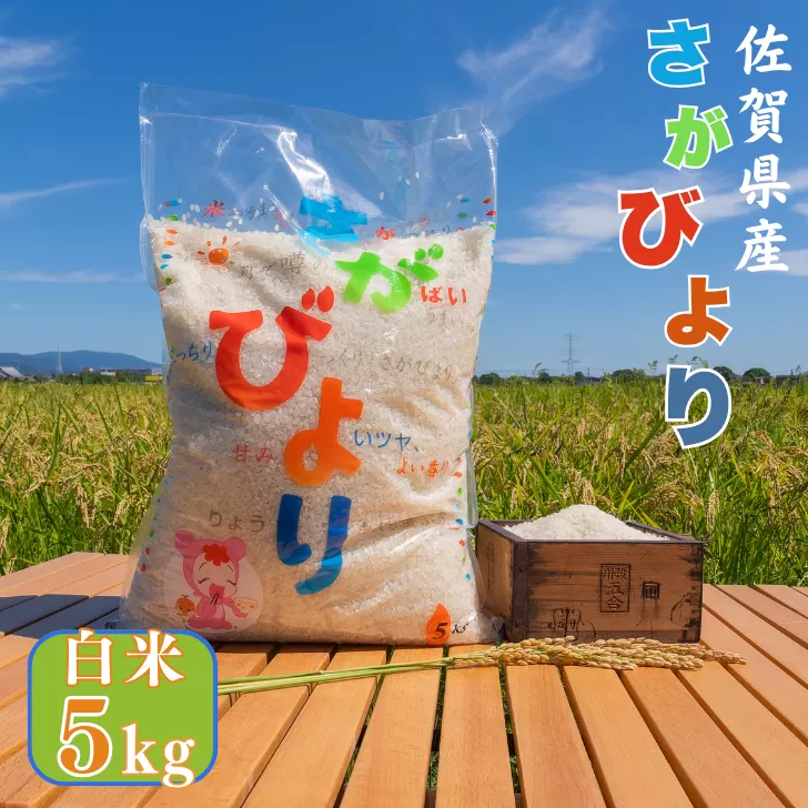 【数量限定】令和6年産 佐賀県産 さがびより 白米 5kg 特A米 お米 ブランド米 精米 コメ 国産 おすすめ 大坪米屋：B170-023