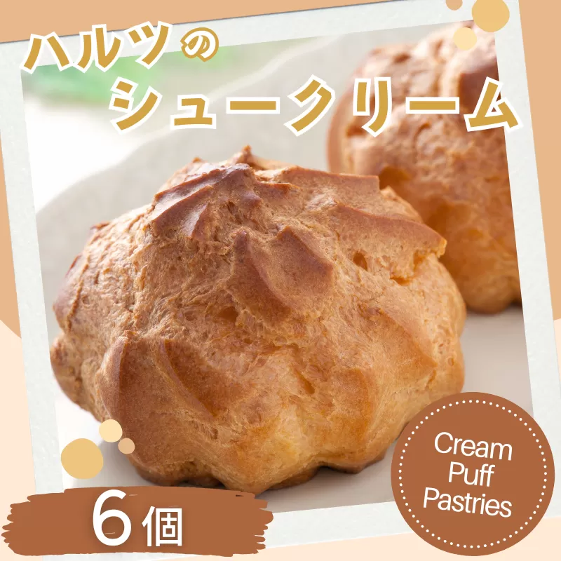 ハルツのシュークリーム 6個 創業40年 スイーツ 洋菓子 お菓子 おやつ デザート 小分け 個包装 ご褒美 お取り寄せ 人気 冷凍配送 送料無料 佐賀県 佐賀市：A090-036