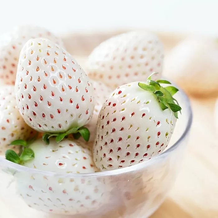 佐賀県産いちご パールホワイト:B190-025