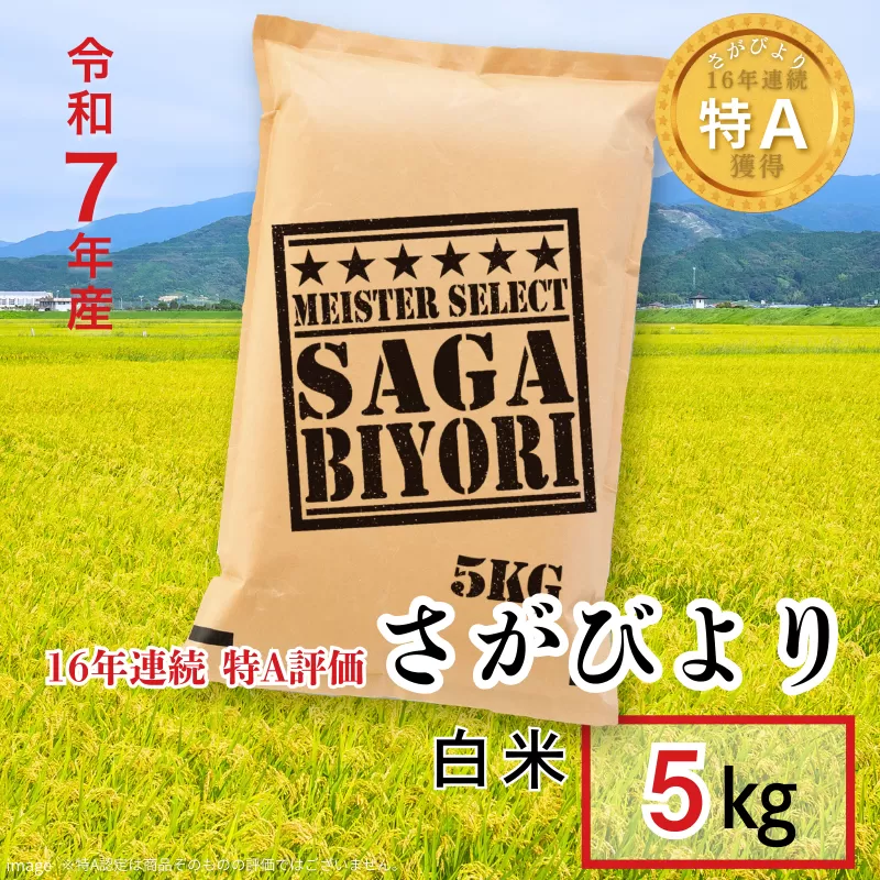 五つ星お米マイスターが厳選！令和7年産 佐賀県産 さがびより 白米 5kg おこめ 米 ：B175-017