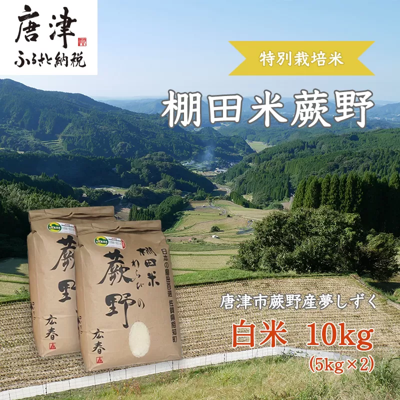 特別栽培棚田米「蕨野」5kg×2袋(合計10kg)  家庭排水が一切入らない自然水で作られたお米 10日に1回精米で新米のような味わい