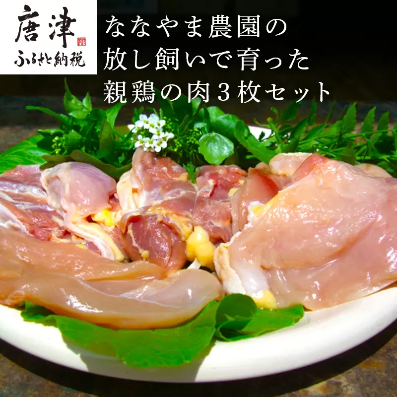 佐賀県産 放し飼いで育った親鶏の肉 (もも むね ささみ各2枚×3) 煮込み料理 たたき「2023年 令和5年」