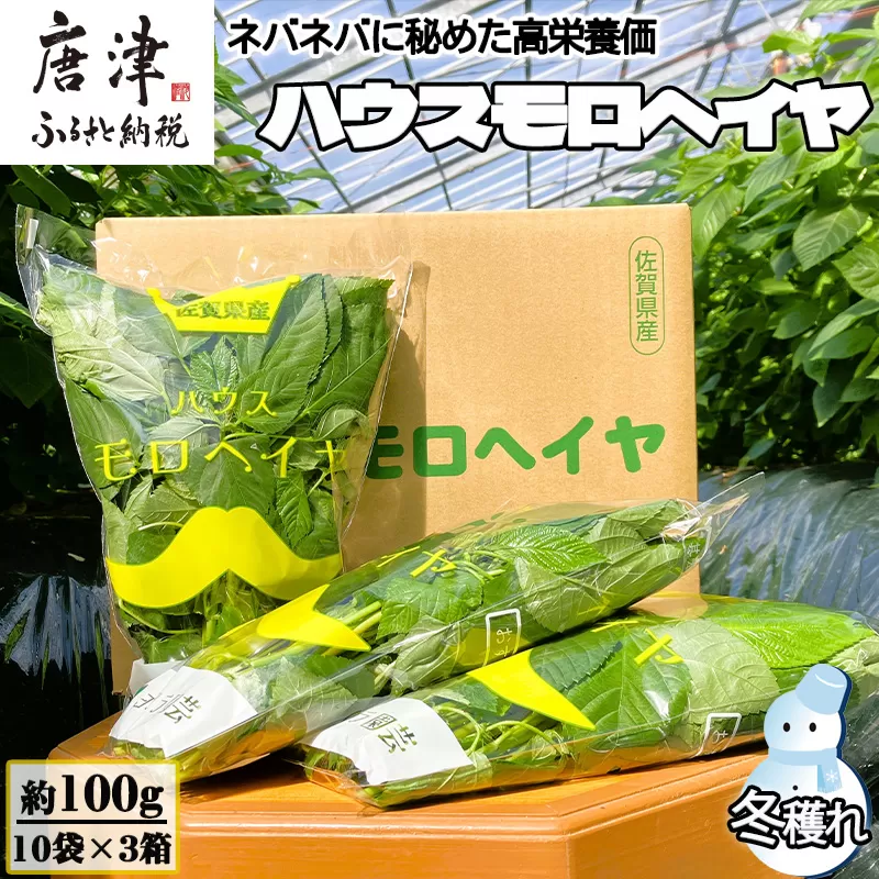 『先行予約』【12月上旬より順次発送】冬穫れハウスモロヘイヤ 100g×10袋×3箱 ネバネバ 高栄養価（βカロテン/各種ビタミン/カルシウム/カリウム/葉酸など) 定番おひたし 和洋中の各種スープ 色んなお料理のソースにも 野菜 ねばねば