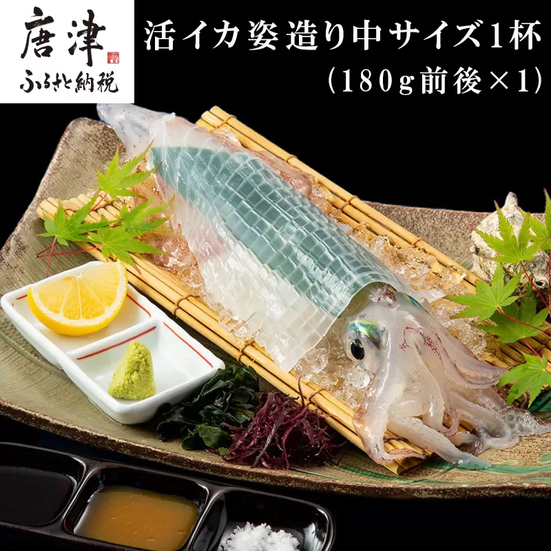 活イカ姿造り中サイズ1杯(180g前後)！ 鮮度抜群 捌きたて瞬間冷凍 いか活造り 刺身 簡単 呼子 ギフト