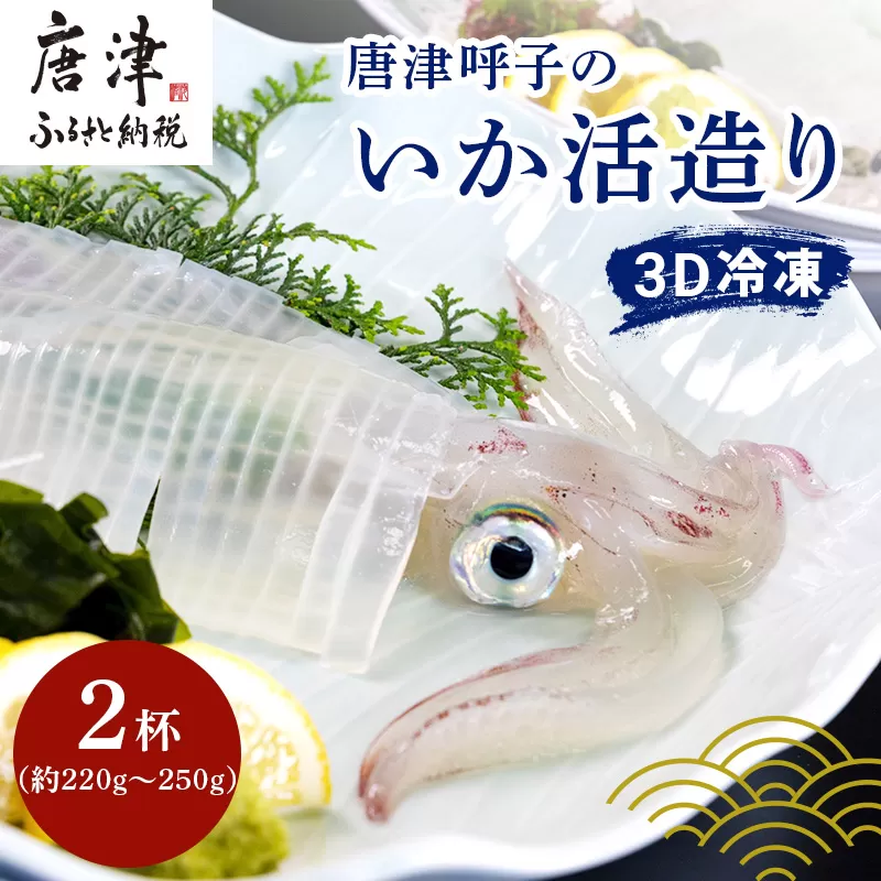『先行予約』唐津呼子産いか活造り 2杯(約220g～250g×2) 急速冷凍 新鮮そのまま食卓へ！イカ 刺身 簡単 ギフト ※水揚げあり次第6月以降順次発送させていただきます。