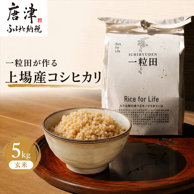 一粒田が作る上場産コシヒカリ 5kg (玄米) コメ お米 ごはん こしひかり