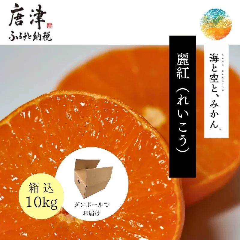 『先行予約』【令和8年1月中旬発送】唐津産ハウス育ち「麗紅」箱込10kg 〜海と空と、みかん〜 ミカン 果物 フルーツ 柑橘 ギフト
