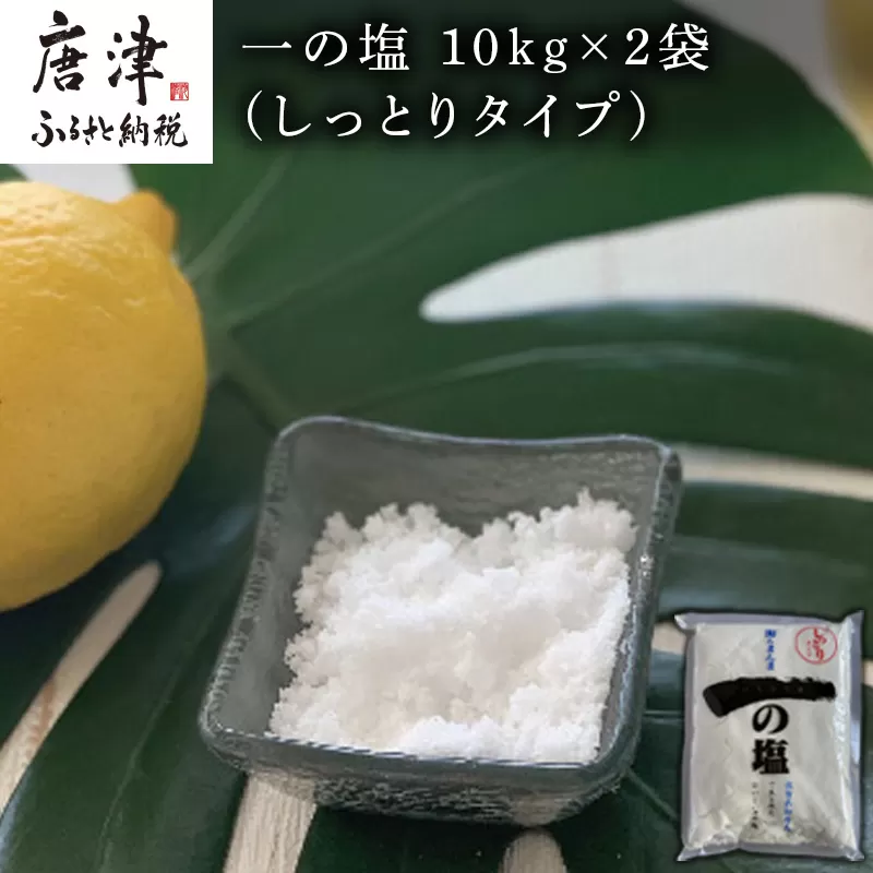 唐津 一の塩 10kg×2袋 (しっとりタイプ) 調味料 料理 しお ソルト