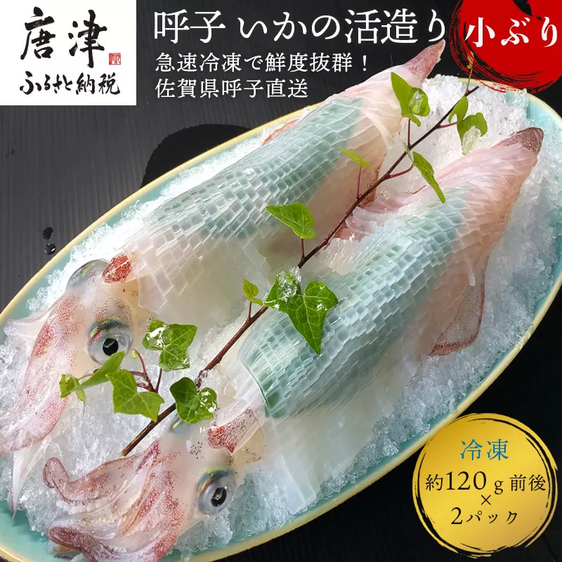 (数量限定)呼子のいか活造り (120g前後×2)小ぶりで歯ごたえも味も鮮度も抜群！ 唐津市