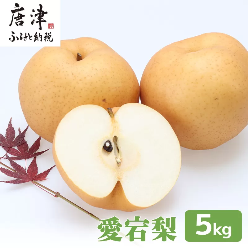 訳あり 今が食べ頃 特栽 旬の梨5kg　愛宕梨　果物 フルーツ くだもの