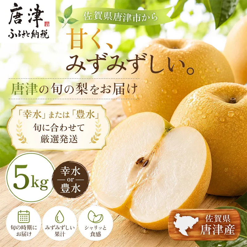 『先行予約』【令和8年7月上旬より順次発送】唐津産 梨 5kg【旬の味覚】果物 フルーツ 幸水 豊水