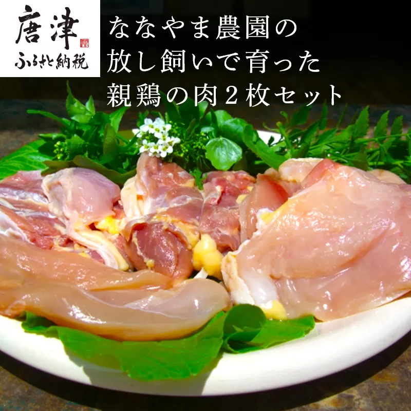 佐賀県産 放し飼いで育った親鶏の肉 (もも むね ささみ各2枚×2) 煮込み料理 たたき