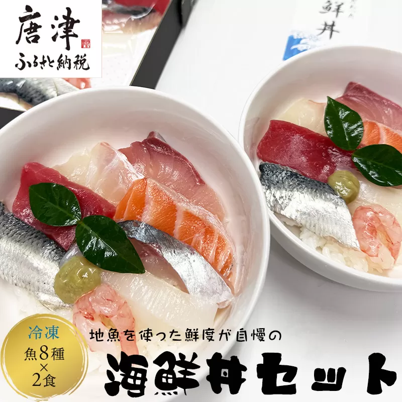 地魚を使った鮮度が自慢の海鮮丼(魚8種/酢飯150g×各2食) 急速冷凍 海鮮 夕食 簡単 解凍