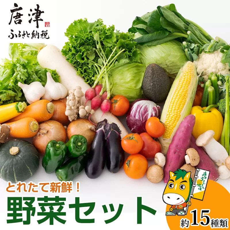 野菜セット 新鮮とれたて旬の野菜 季節の野菜 詰合せ サラダ「2024年 令和6年」