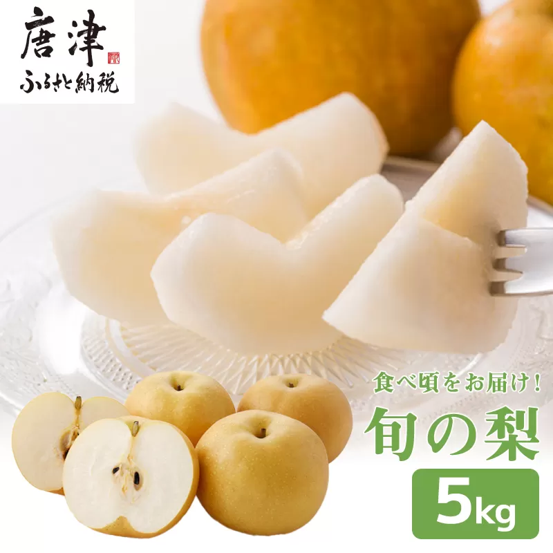 『予約受付』今が食べ頃 特栽 旬の梨5kg【令和6年の夏ごろの発送】