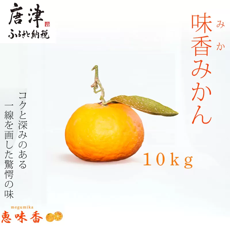 果皮も丸ごとガブッ！味香みかん 10kg 新種のミカン フルーツ 果物 デザート 柑橘