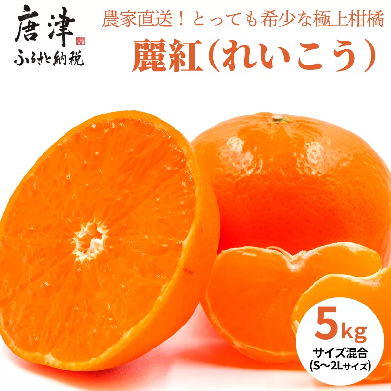 『先行予約』【令和8年1月下旬発送】麗紅(れいこう）ハウス栽培 唐津産 5kg 混合サイズ みかん 蜜柑 柑橘 果物 フルーツ